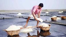 বাজার স্থিতিশীল রাখতে আমদানি করা হচ্ছে লবণ