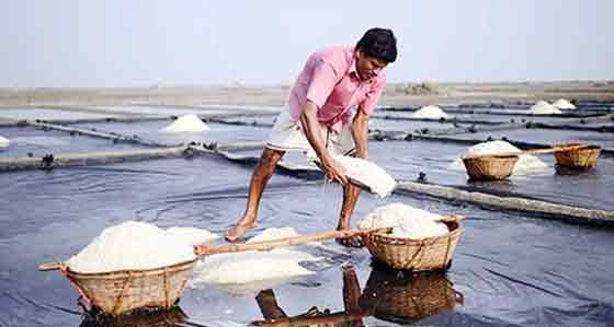 বাজার স্থিতিশীল রাখতে আমদানি করা হচ্ছে লবণ