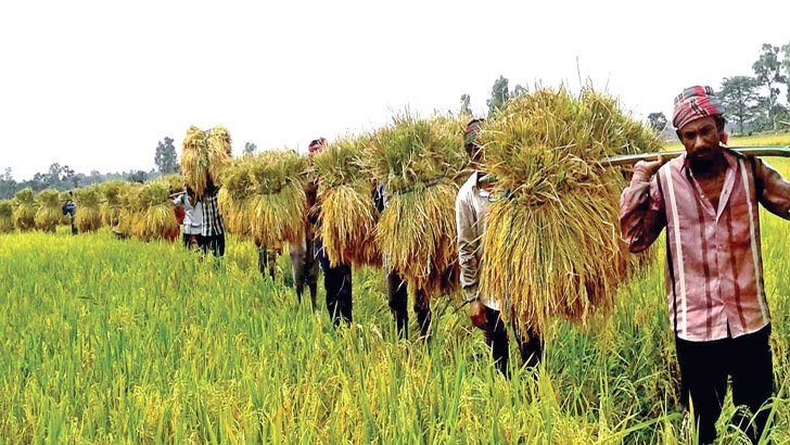 কৃষকের খরচ পদে পদে বাড়ল